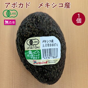 L@A{Jh LVRY XlC _͔| 1 H׍͂