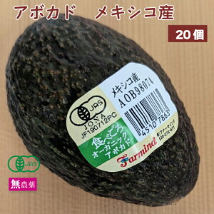 L@A{Jh LVRY _͔| XlC H׍͂ y4E8E12E20Iׂ܂z