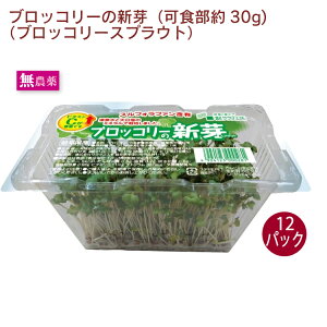 ubR[̐V@ubR[XvEg 12pbN@Hp r^~CLx XtHt@@̓