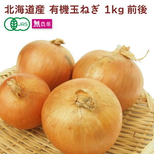 �L�@�ʂ˂� 1kg�O�� �k�C���Y ���_��͔|