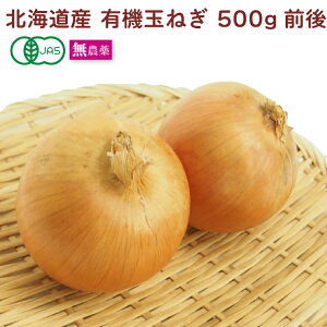 L@ʂ˂@500gO kCY@_͔|@̓