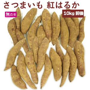 人気です さつまいも 紅はるか 無農薬栽培 【3kg・5kg・10kgから選べます】