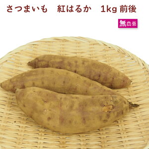 lCł@܂ g͂邩@_͔| 1kgO@̓