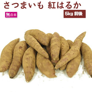 lCł@܂ g͂邩@_͔| y3kgE5kgE10kgIׂ܂z