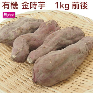 さつまいも 有機栽培 金時芋 無農薬栽培 1kg前後