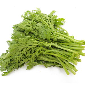 L@te ޗǌY _͔| 120g×1