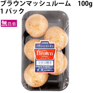 ̂@uE}bV[ 100g@1pbN@̓