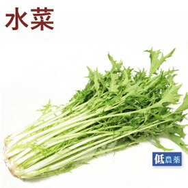 水菜 低農薬栽培 150g×5袋