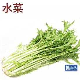 水菜 低農薬栽培 150g×1袋