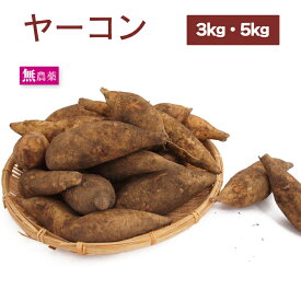 ヤーコン 北海道産 無農薬栽培 生でも甘い オリゴ糖を含む自然派野菜 腸活を意識する方に サラダでも炒めても 【3kg前後・5kg前後から選べます】