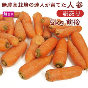 Ԍ 󂠂  _ lQ Bi s Ђ p y5kgE10kgIׂ܂z