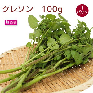 lC̖ N\ ÉY _͔| 100gO xmR[̗N h݋ T_  ؂