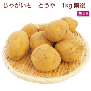 Ƃ Ⴊ _͔| 1kgO@ϕꂵɂWKC