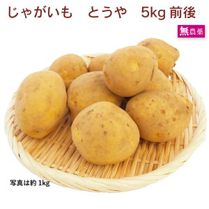 Ⴊ@Ƃ@5kgO _͔|@ϕꂵɂWKC