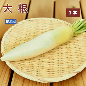卪 _͔| 1{@ϕEЕET_Ȃǂ낢gĕ֗ȏ