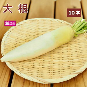 卪 _͔| ϕEЕET_Ȃǂ낢gĕ֗ȏ y5{E8{E10{Iׂ܂z