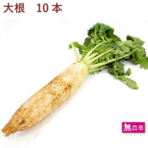 tt卪 _͔| tbV VN ϕEЕET_Ȃǂ낢gĕ֗ȏ y5{E8{E10{Iׂ܂z