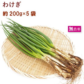 わけぎ 埼玉県産無農薬栽培 約200g× 5把　春の野菜