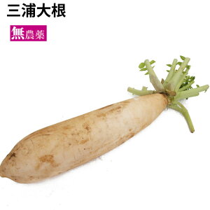 �O�Y�卪 ��ʌ��Y ���_��͔| 1�{ �卪