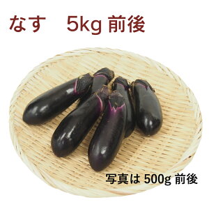 Ȃ _͔| 5kgO