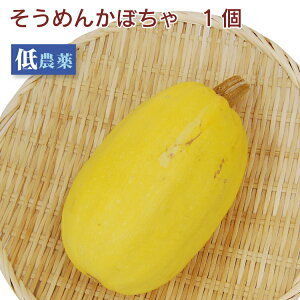 そうめんかぼちゃ 1個 低農薬栽培 錦糸瓜
