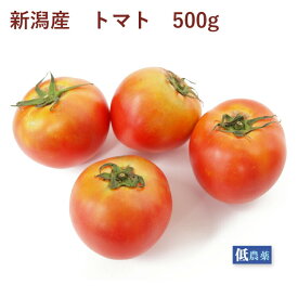 トマト　500g前後　低農薬栽培