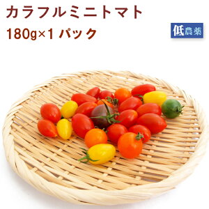 カラフルミニトマト　埼玉産　1パック