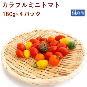 カラフルミニトマト 埼玉産 4パック
