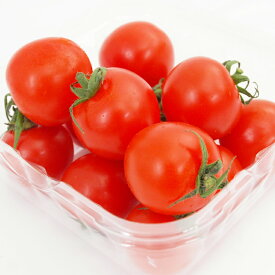 有機ミニトマト　100g×1パック