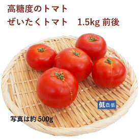 ぜいたくトマト　1.5kg前後　埼玉産