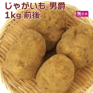 Ⴊ@j݁@1kgO _͔|