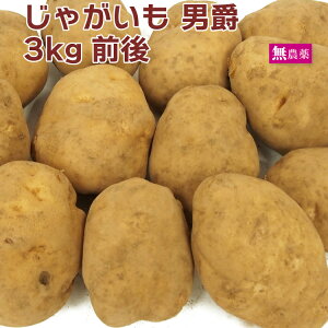 じゃがいも 男爵 無農薬栽培 3kg前後