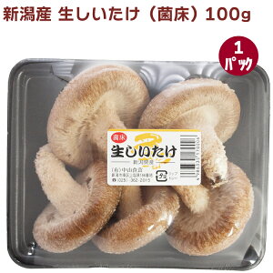 ���̂��@���ő� �ۏ��͔| 100g×1�p�b�N�@����������