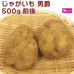 Ⴊ@j݁@500gO _͔|