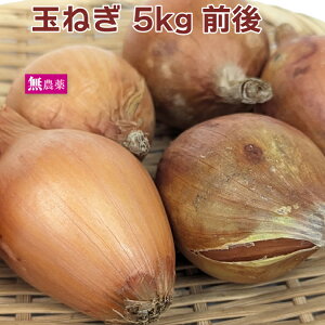 ʂ˂@5kgO _͔|  ܂˂ ^}lM Ԗ