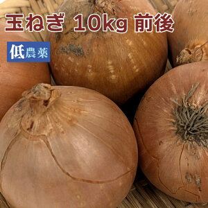 ʂ˂@10kgO _͔|  ܂˂ ^}lM Ԗ