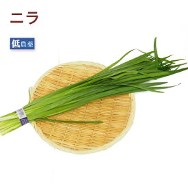 ニラ 5把 低農薬栽培