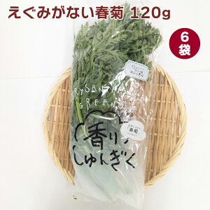 えぐみがない春菊 サラダがおすすめ 120g× 6袋