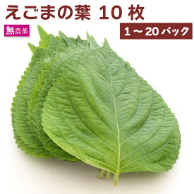 えごまの葉（10枚前後） 栃木県産 無農薬栽培