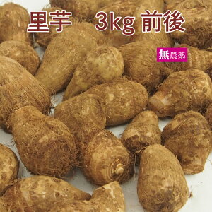 里芋 無農薬栽培 3kg前後