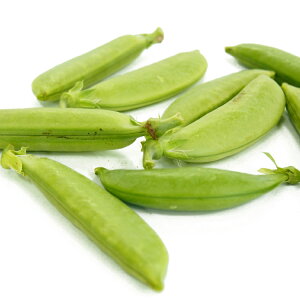 XibvGhE @80gO@Xibvǂ  ǂ XibNGhE