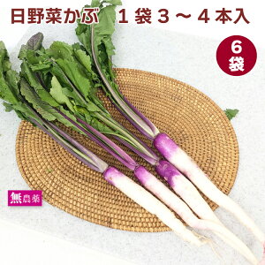 ؂ 6܁i13`4{j _͔| Ȗ؎Y