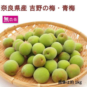 �y�\��z�ޗǌ��Y �g��̔~ �~ 1kg�O�� ���_��͔|�@��6/16�����甭���\��