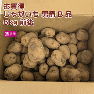 訳あり お買得 じゃがいも 男爵 無農薬栽培 5kg前後 規格外 不揃い キズ