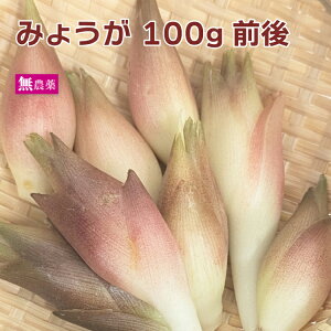 ݂傤 100gO _͔|