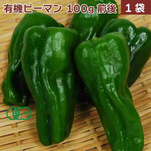 �L�@�s�[�}�� ���_��͔| 100g�O��×1��