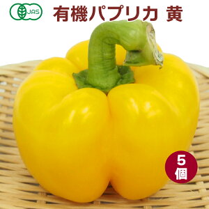 i摜