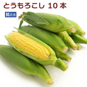 Ƃ낱 10{ _͔|