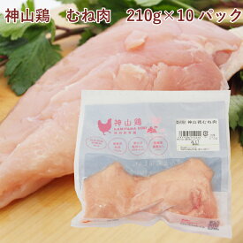 イシイフーズ 神山鶏 むね肉 210g ×10パック