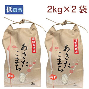 _ HcYʍ͔| ܂ 2kg×2܁@